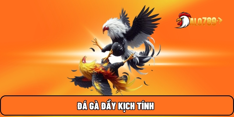 Đá gà đầy kịch tính