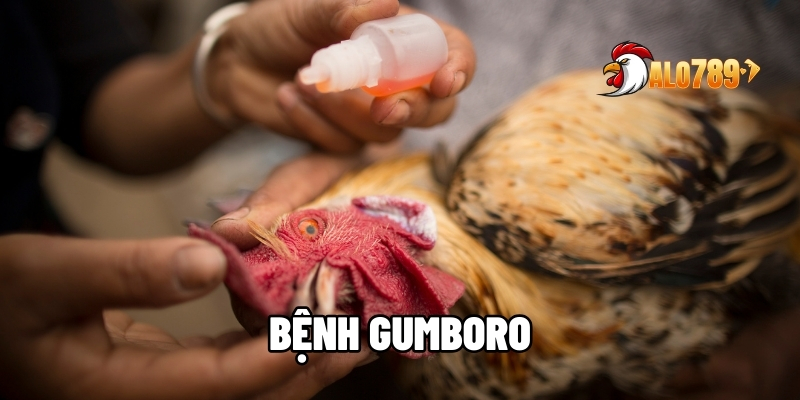 Bệnh Gumboro