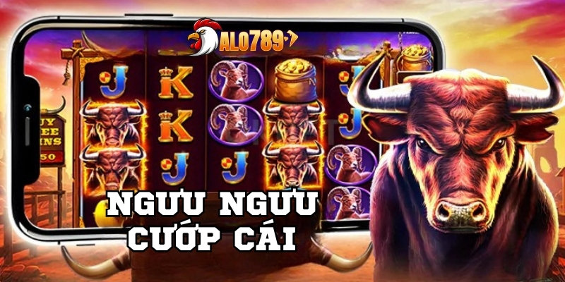 Ngưu ngưu cướp cái