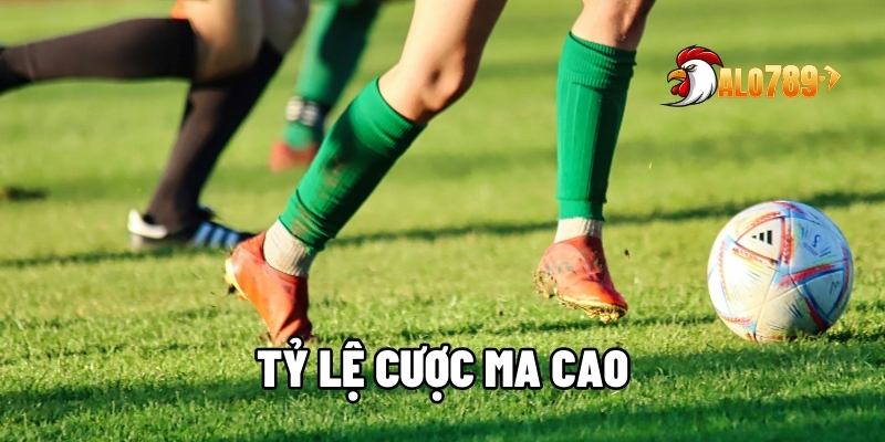Tỷ lệ cá cược Ma Cao